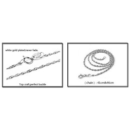 Κολιέ Από Τιτάνιο Με Επιπλατινωμένο Σε Σχήμα Γυναικείου Φτερού Υψηλής Ποιότητας