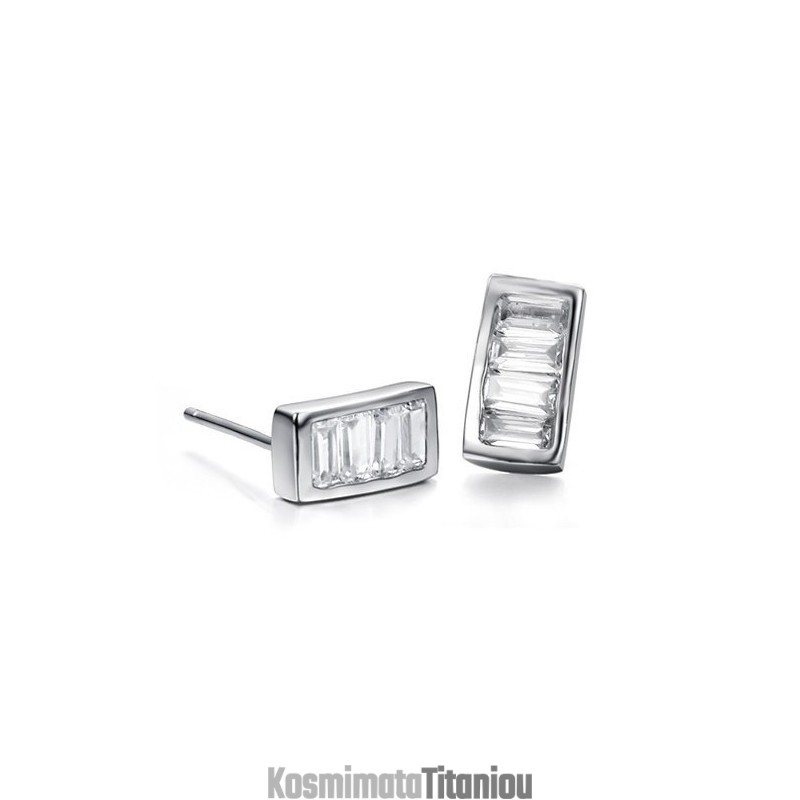 Σκουλαρίκια Τιτανίου Ανώτερης Ποιότητας Με Επιπλατινωμένη Και Διαμάντι
