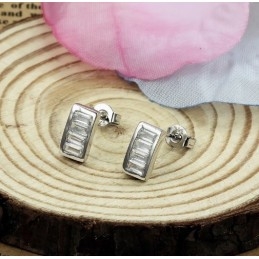 Σκουλαρίκια Τιτανίου Ανώτερης Ποιότητας Με Επιπλατινωμένη Και Διαμάντι