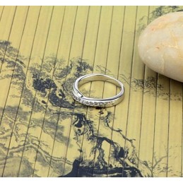 Δαχτυλίδι Τιτανίου Υψηλής Ποιότητας Με Επιπλατινωμένη Και Στρας