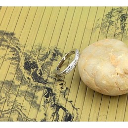 Δαχτυλίδι Τιτανίου Υψηλής Ποιότητας Με Επιπλατινωμένη Και Στρας