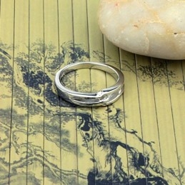 Δαχτυλίδι Τιτανίου Με Επιπλατινωμένη Και Εγγύηση Ποιότητας Και Ποσότητας Για Εραστές