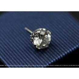 Όμορφα Σκουλαρίκια Τιτανίου Σαν Χιόνι