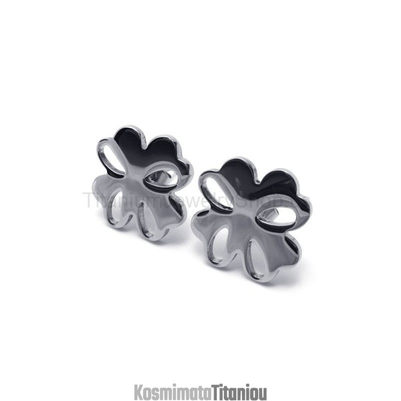 Σκουλαρίκια Από Ασημένια Λουλούδια Και Τιτάνιο
